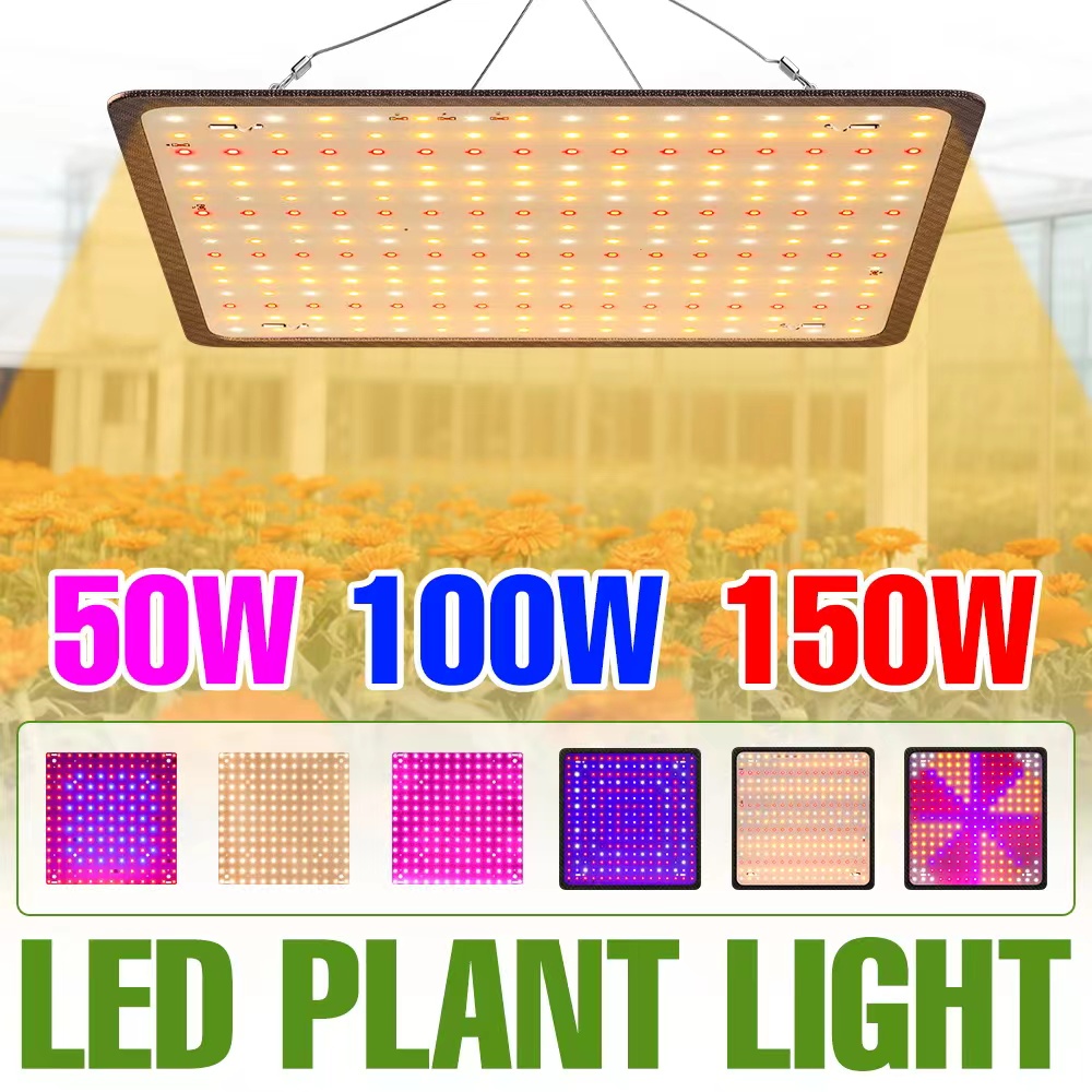 Led Plant Light Strip - 150W LED Spettro Completo Coltiva Le