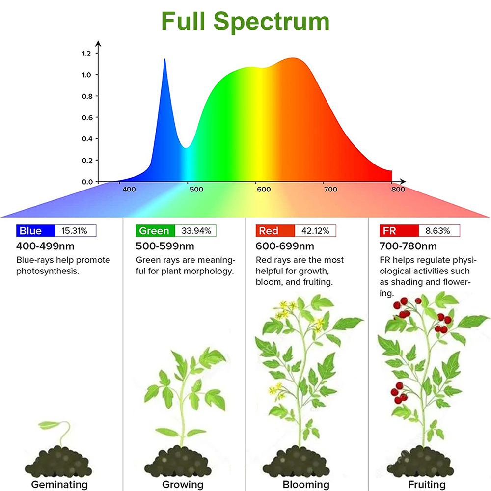 1/2/3/4 Testa LED Coltiva La L - Led Plant Light Strip recensione e prezzo