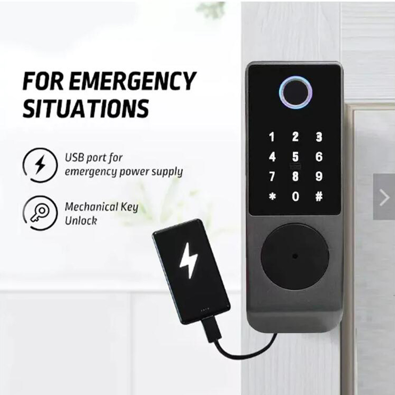 Wifi Tuya Smart Lock Serratura - Smart Garden Gate recensione e prezzo