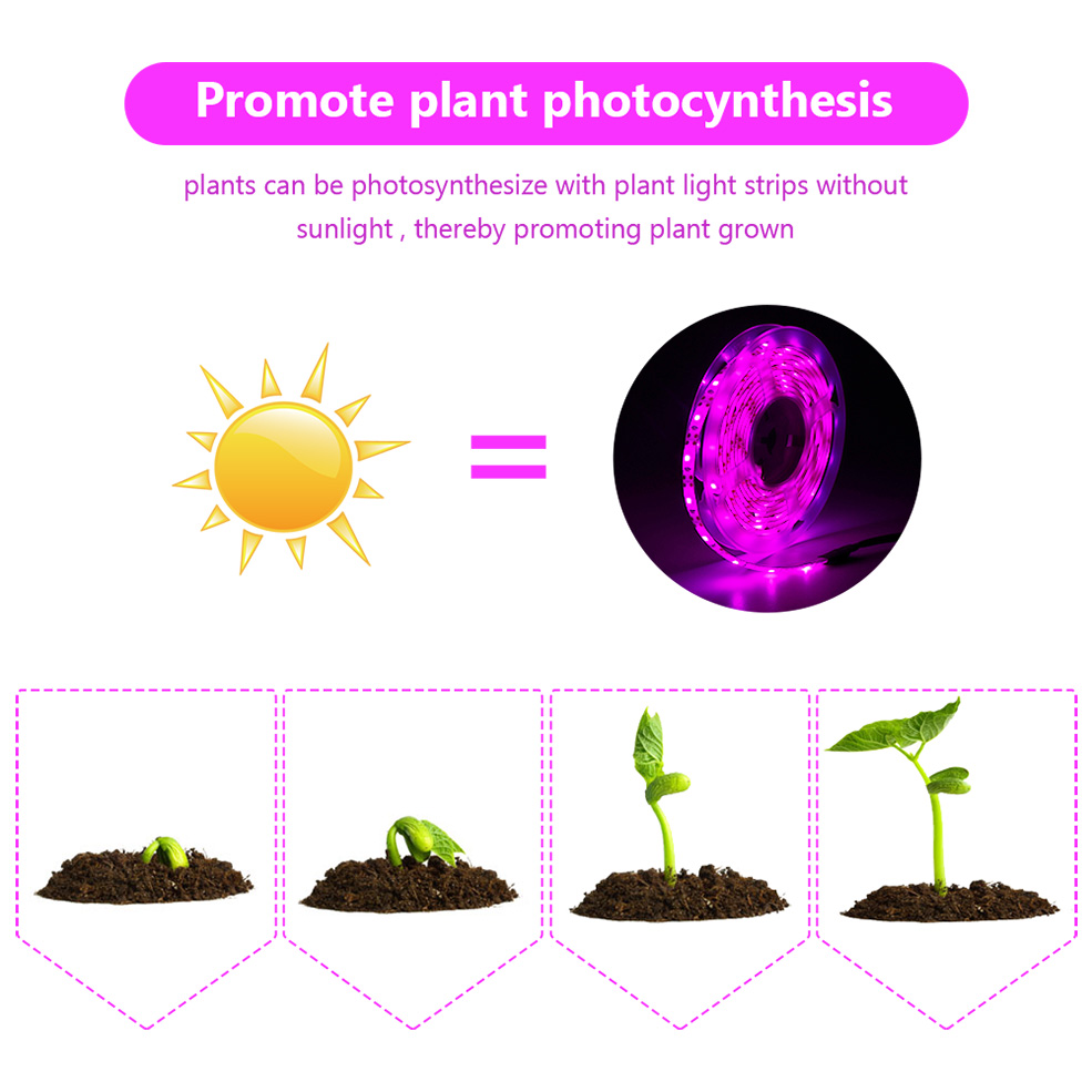 USB Spettro Completo LED Colti - Led Plant Light Strip recensione e prezzo