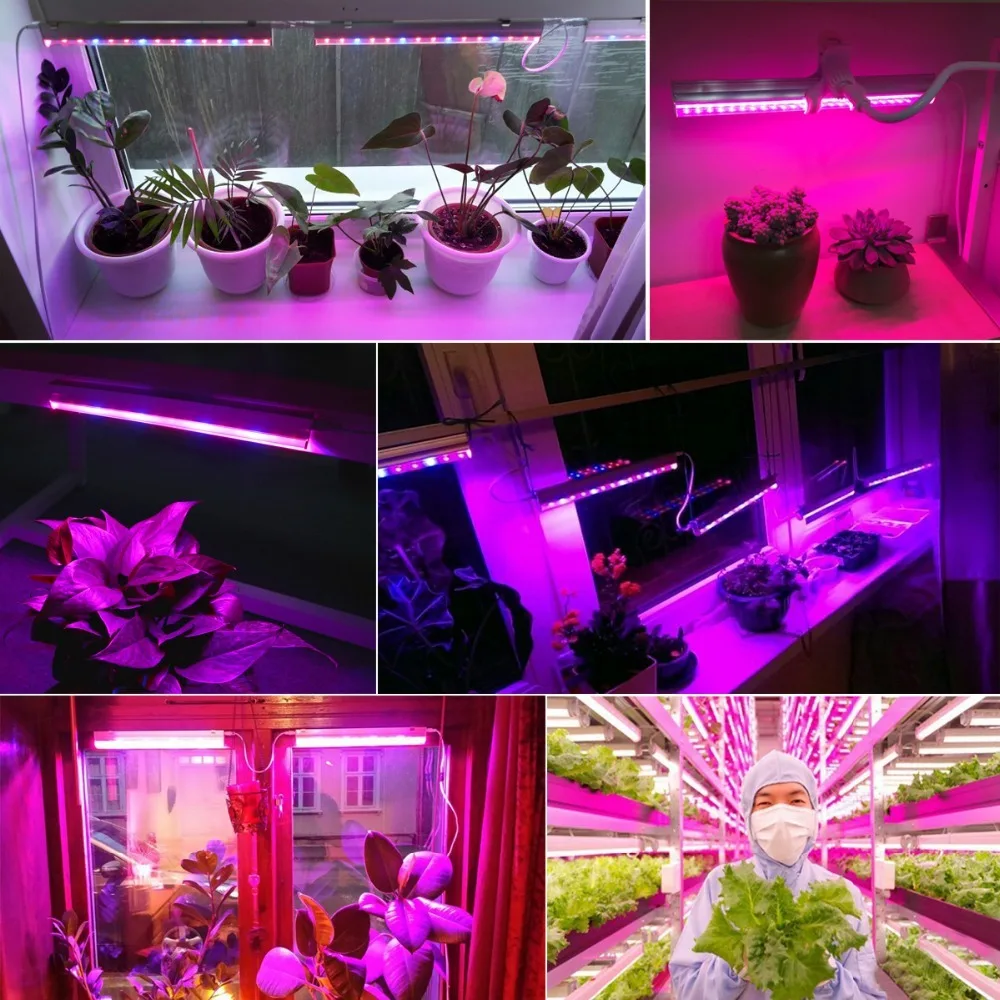 Strisce LED da 12 Pollici per  - Led Plant Light Strip recensione e prezzo
