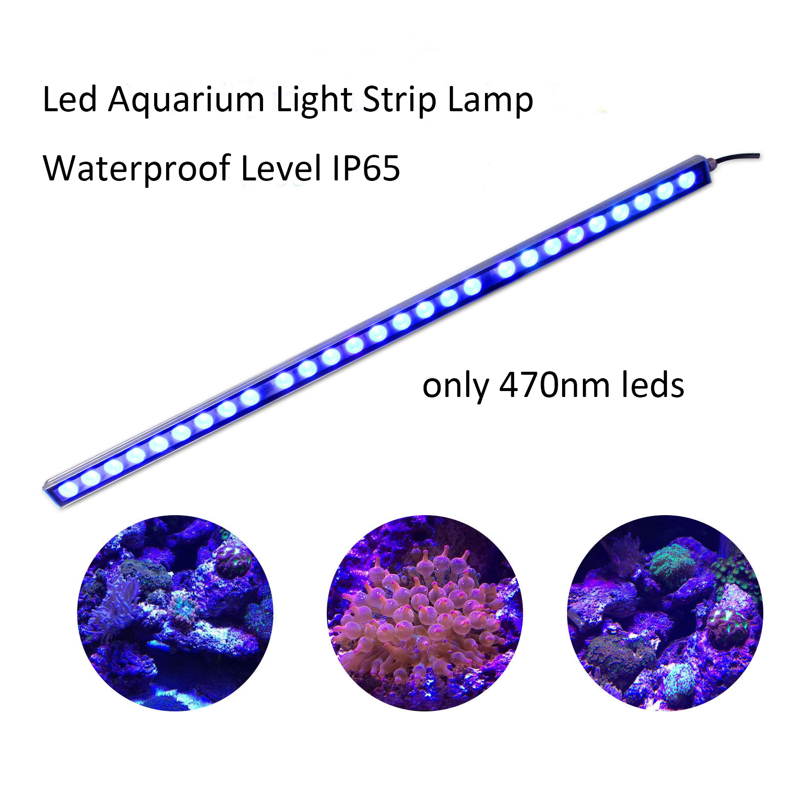 54W 81W 108W Barra LED Luce IP - Led Plant Light Strip recensione e prezzo