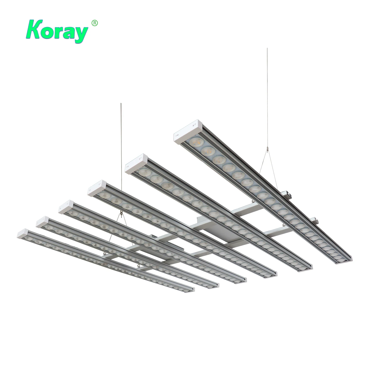 Luce LED per Piante Koray 900W - Led Plant Light Strip recensione e prezzo
