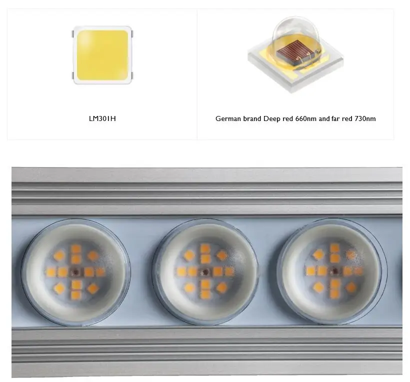 Luce LED per Piante Koray 900W - Led Plant Light Strip recensione e prezzo