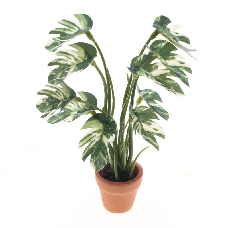 Nuovo. 1 Pezzo Pianta Verde Mo - Smart Garden In Home recensione e prezzo
