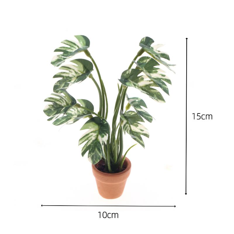 Nuovo. 1 Pezzo Pianta Verde Mo - Smart Garden In Home recensione e prezzo