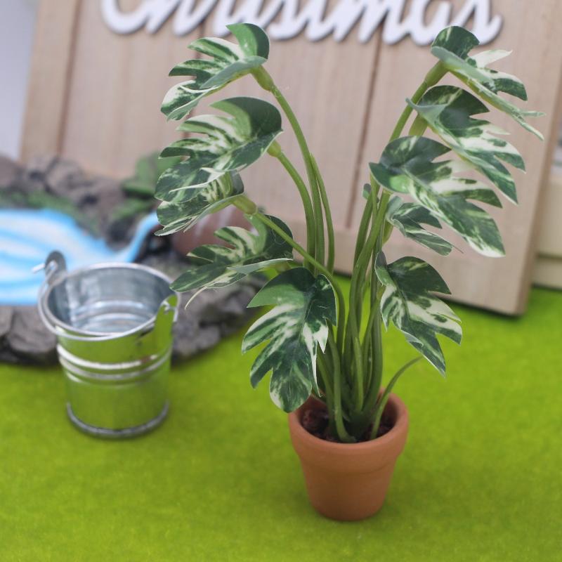 Nuovo. 1 Pezzo Pianta Verde Mo - Smart Garden In Home recensione e prezzo