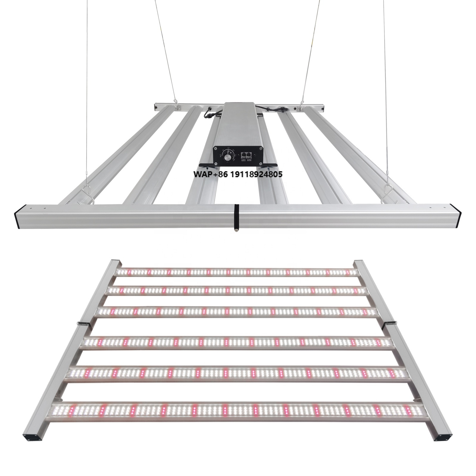 Liweida 100W 300W 600W 900W Ba - Led Plant Light Strip recensione e prezzo